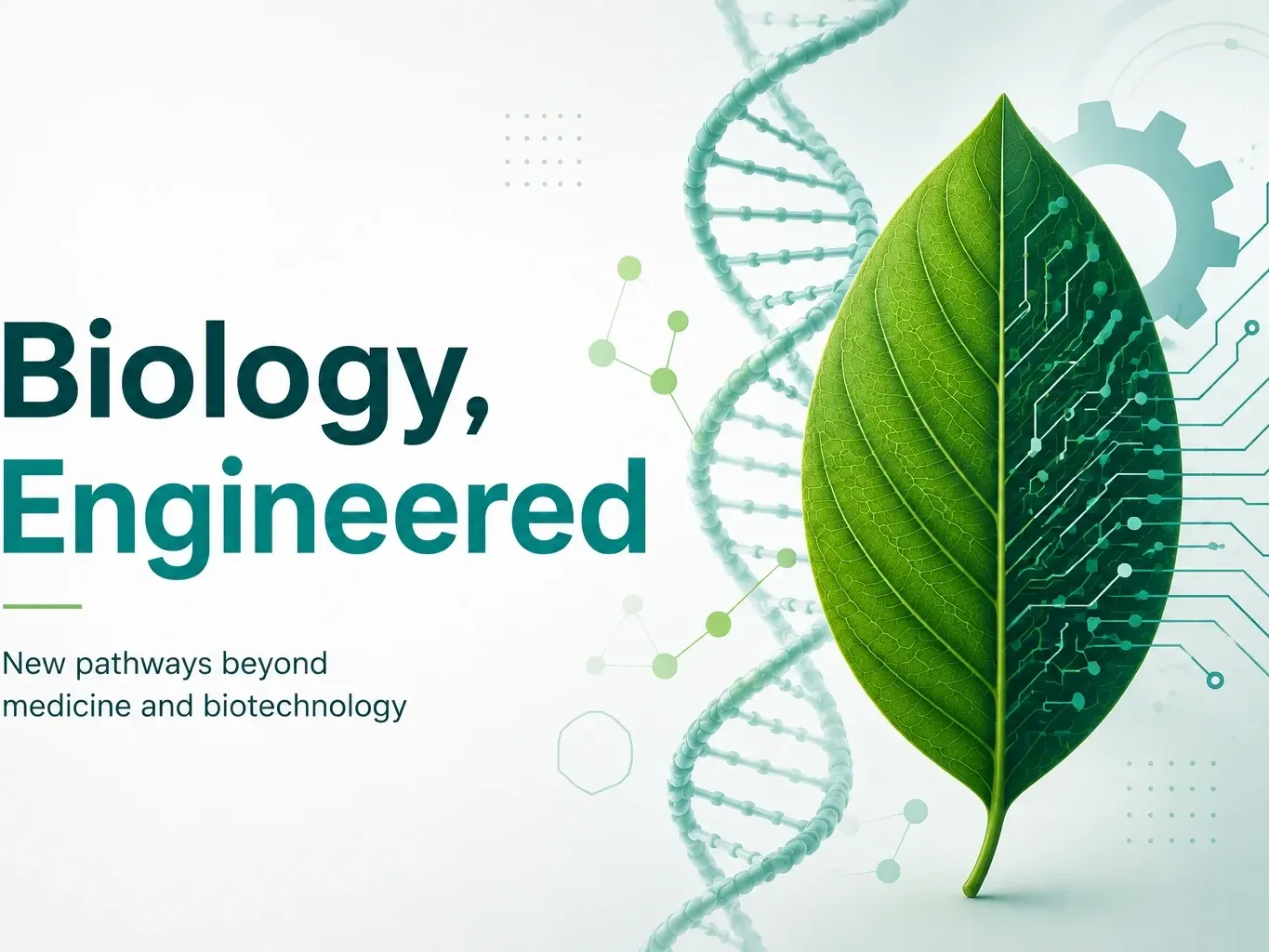 Biological system engineering btech