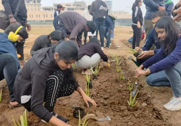 People planting trees
