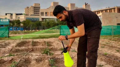 Improving agricultural sustainability