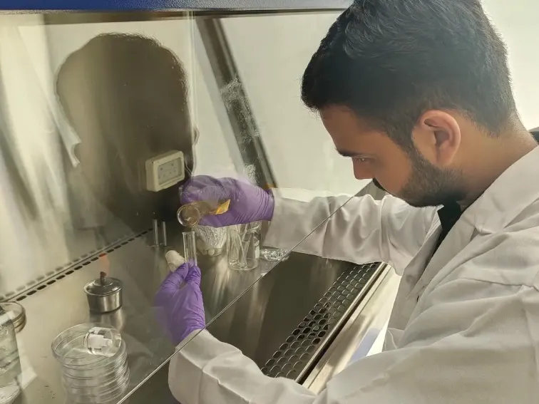 Gene Editing Is a Way of Tackling Climate Change
