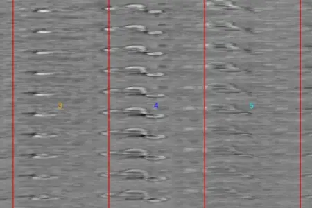 Figure 1: A visualization of the preprocessed image scans for a set of seven roots sewn together. The roots are shown by depth, and each number denotes a distinct root separated by the red margins.
