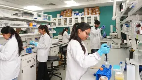 Biological Systems Engineering